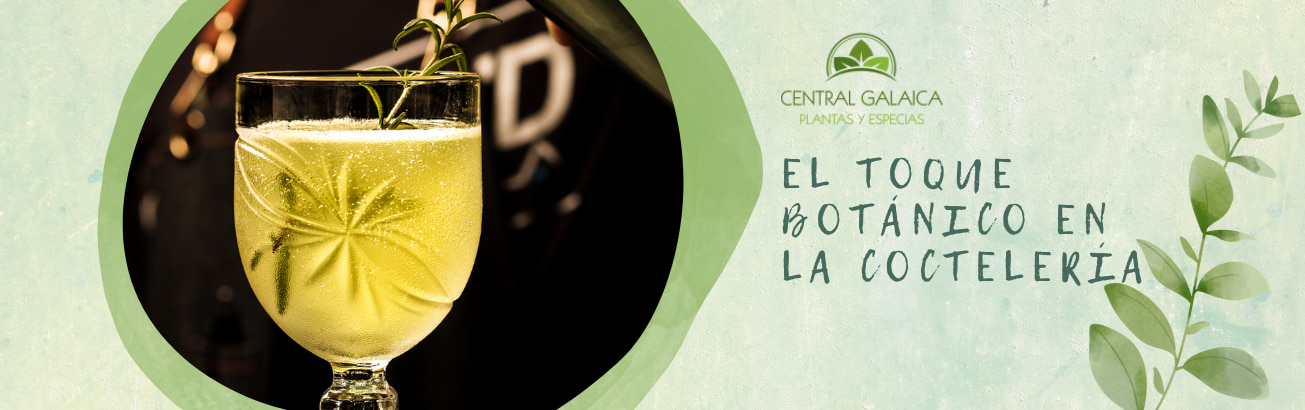 toque-botanico-en-la-cocteleria