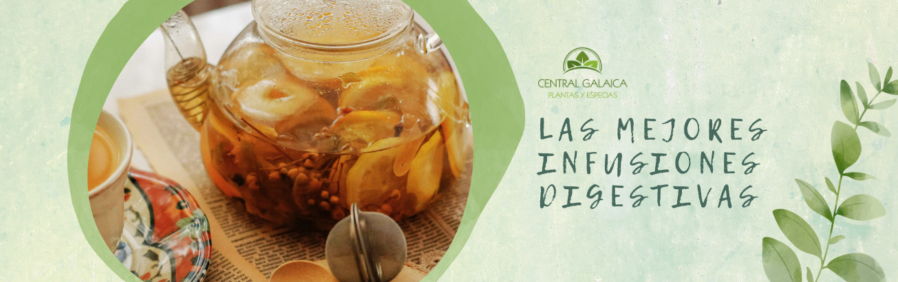 infusiones-digestivas-recetas