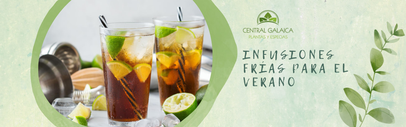 infusion-fria-para-verano