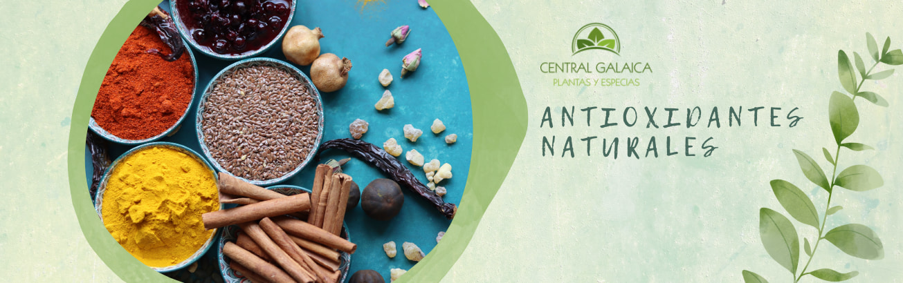 antioxidantes-naturales