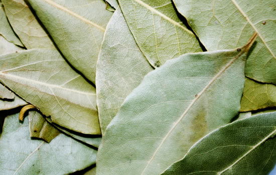 Beneficios de las hojas de laurel