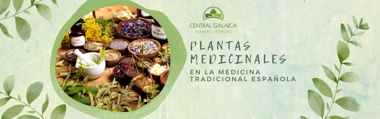 plantas-medicinales-españa